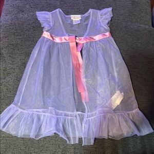 Purple Sheer Dress with Pink Ribbon